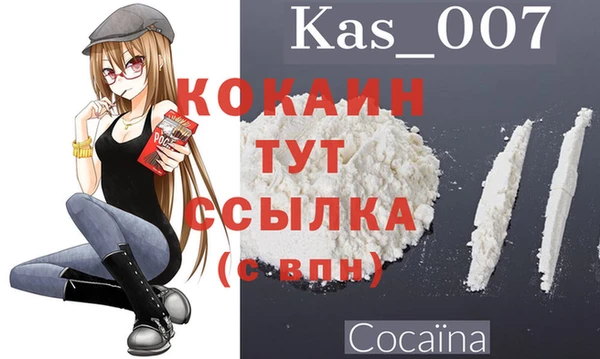 COCAINE Богородицк